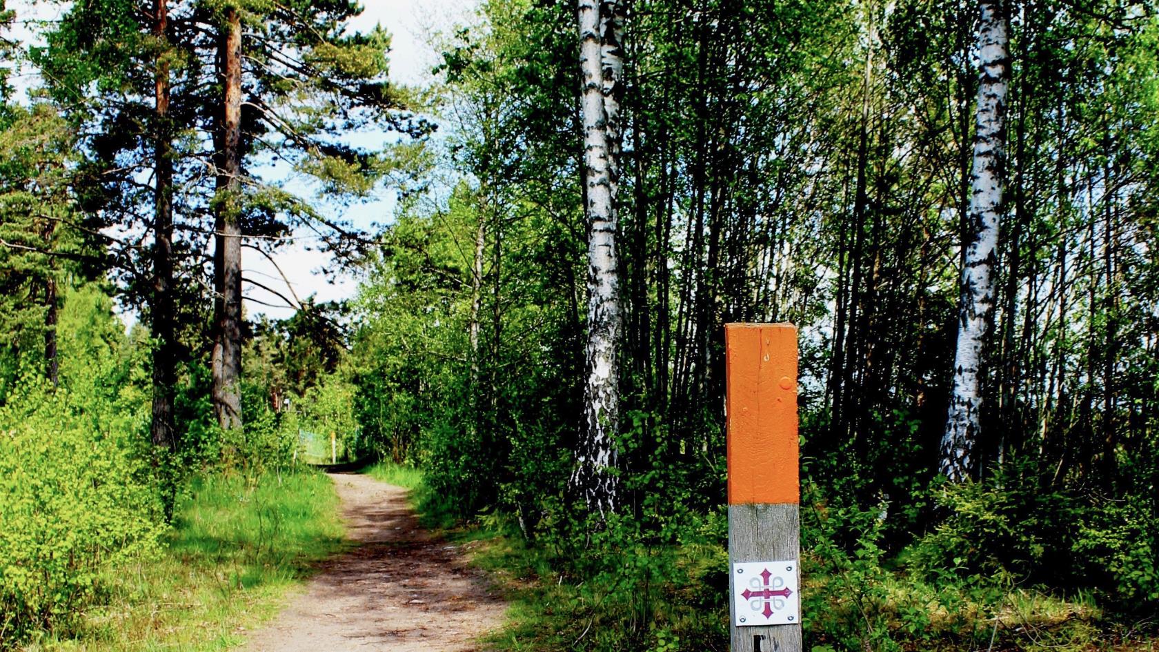 Bredvid stigen i skogen sitter en pinne med markeringen för pilgrimsled.