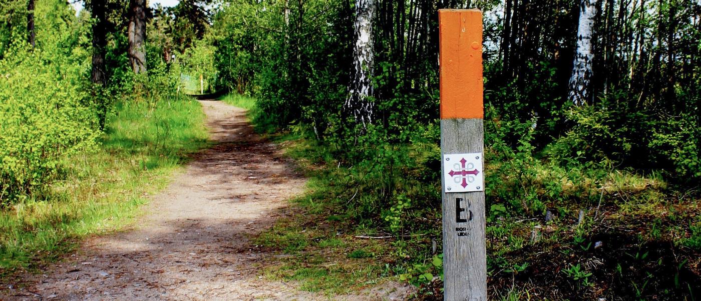 Bredvid stigen i skogen sitter en pinne med markeringen för pilgrimsled.