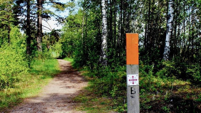 Bredvid stigen i skogen sitter en pinne med markeringen för pilgrimsled.