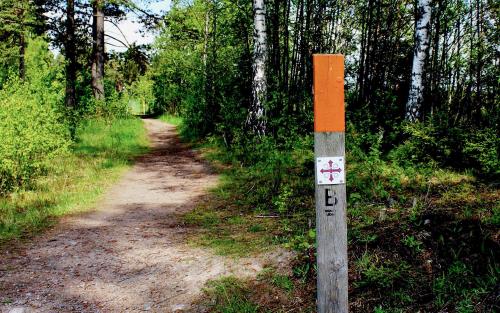 Bredvid stigen i skogen sitter en pinne med markeringen för pilgrimsled.