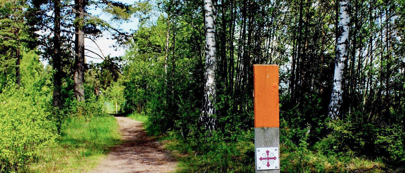 Bredvid stigen i skogen sitter en pinne med markeringen för pilgrimsled.