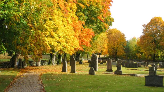 En solbelyst kyrkogård i höstfärger.