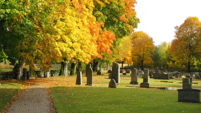 En solbelyst kyrkogård i höstfärger.