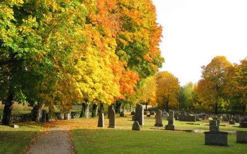 En solbelyst kyrkogård i höstfärger.