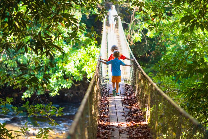 Två små barn går på en hängbro över ett vattendrag med tät växtlighet.