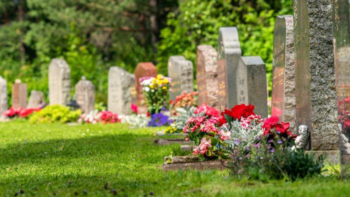 Begravningsplats med en rad av gravstenar som alla har färgsprakande blommor. Solen skiner.