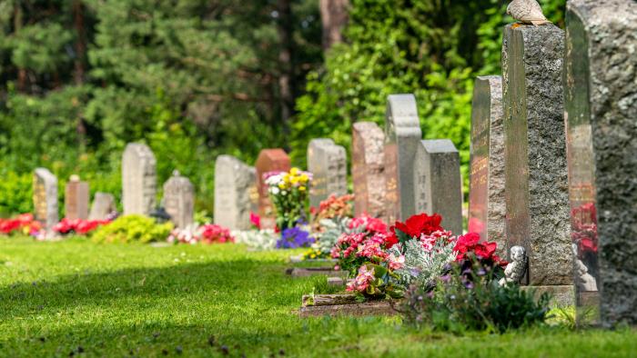 Begravningsplats med en rad av gravstenar som alla har färgsprakande blommor. Solen skiner.