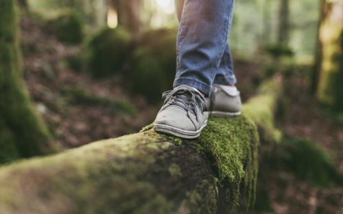 Någon balanserar på en mossig stock i skogen.