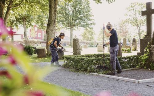 Två kyrkogårdsarbetare trimmar buskarna runt en grav.