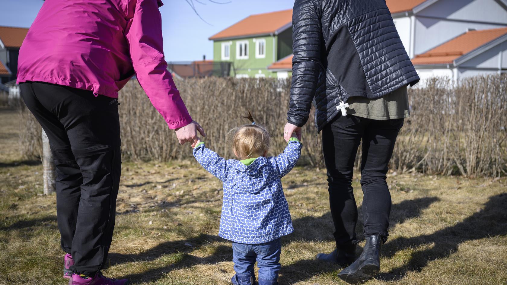 Ett litet barn på vårpromenad håller sina föräldrar med bägge händerna för att inte ramla omkull.