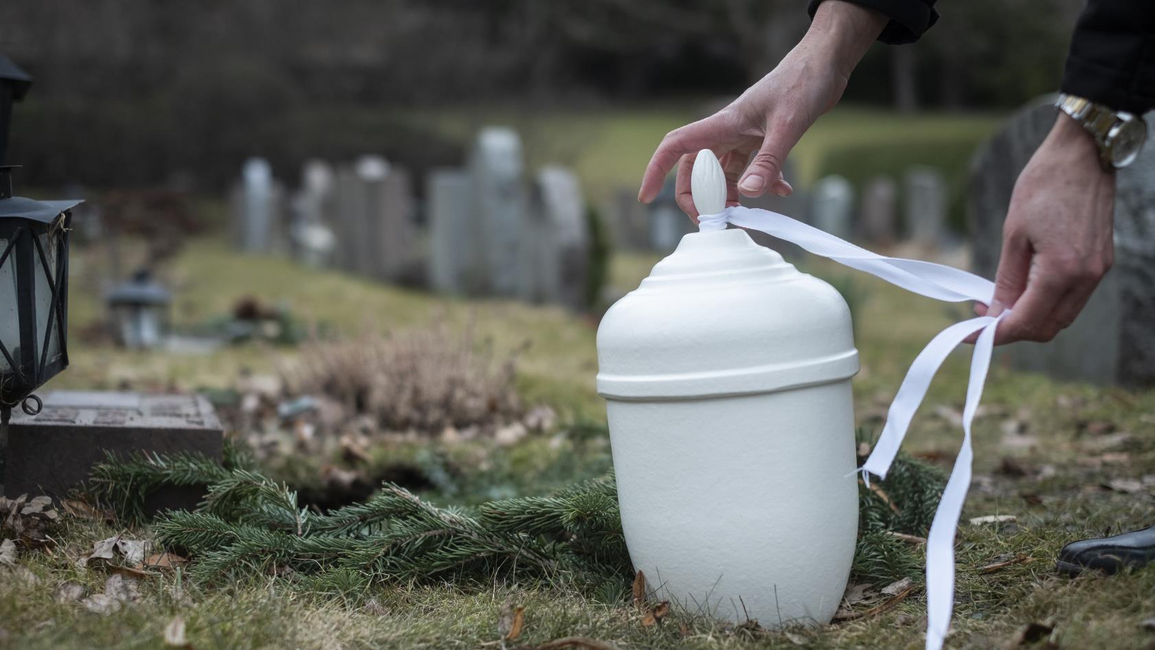 Någon knyter ett vitt band runt en vit urna på en kyrkogård.