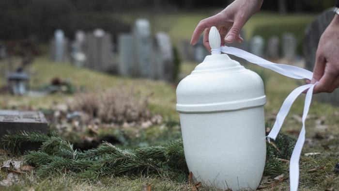 Någon knyter ett vitt band runt en vit urna på en kyrkogård.