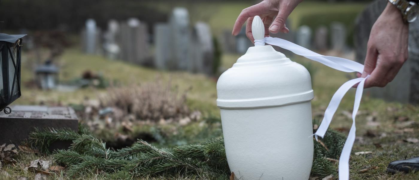 Någon knyter ett vitt band runt en vit urna på en kyrkogård.