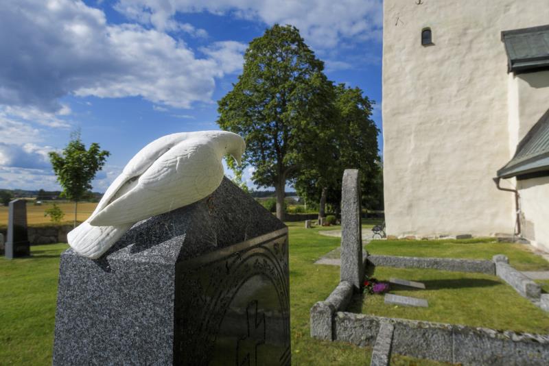 En vit stenduva sitter på en gravsten.