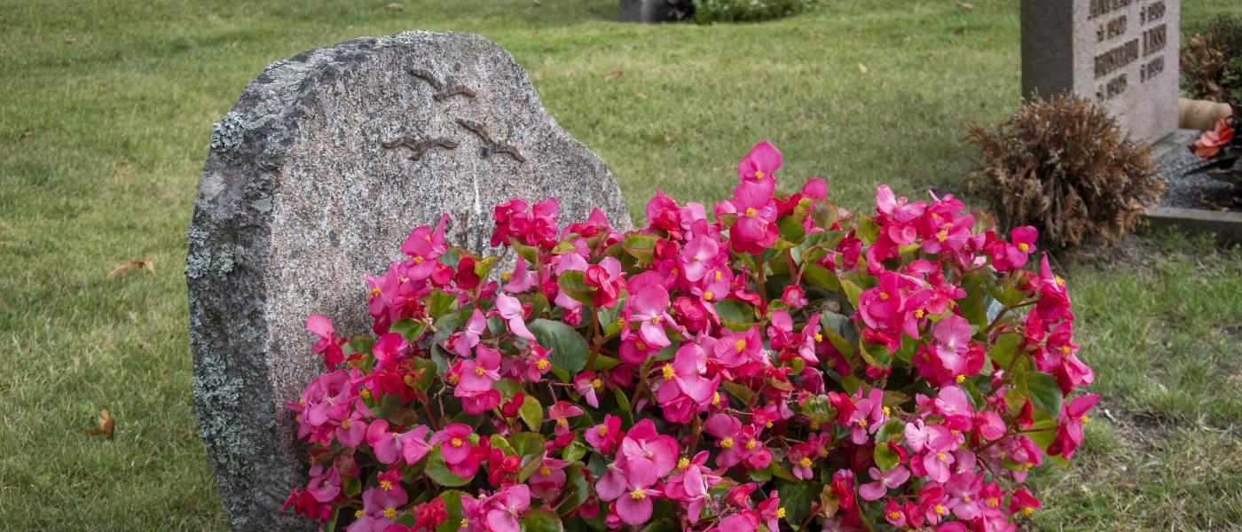 Ett stort fång med rosa blommor vid en gravsten.