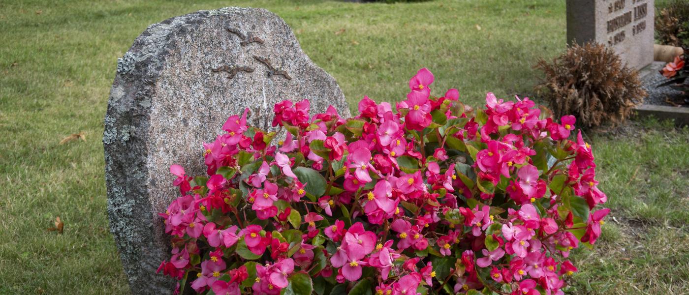 Ett stort fång med rosa blommor vid en gravsten.