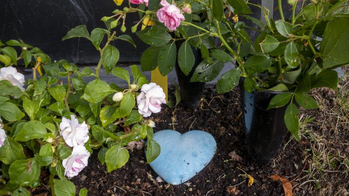 Blommor och ett ljusblått hjärta vid en gravsten.