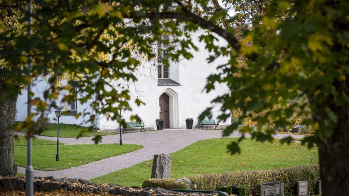 En vit kyrka skymtar bakom ett höstträd.