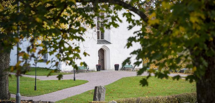 En vit kyrka skymtar bakom ett höstträd.