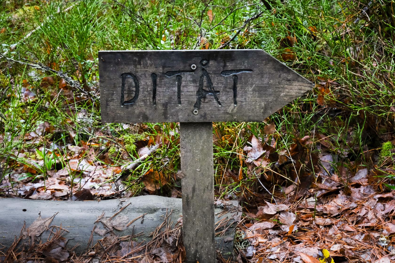 En handgjord träskylt med texten Ditåt står i gräset och pekar åt höger.