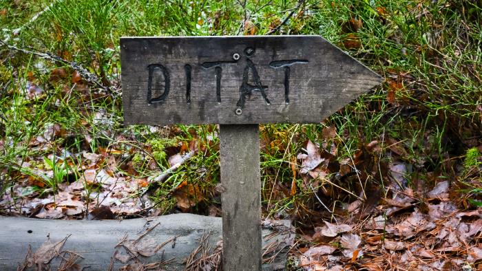 En handgjord träskylt med texten Ditåt står i gräset och pekar åt höger.