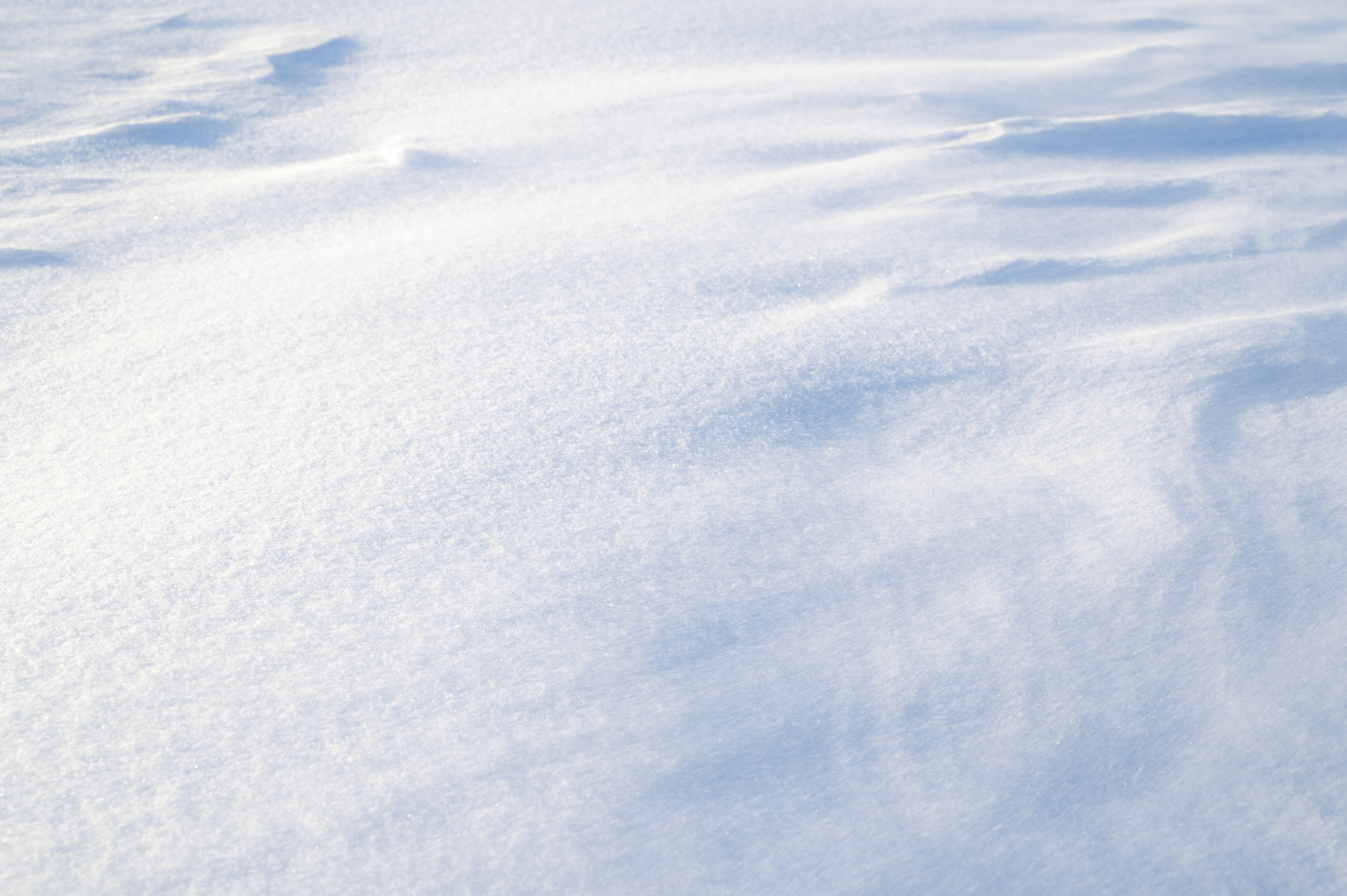 Vinden blåser i ett snölandskap.