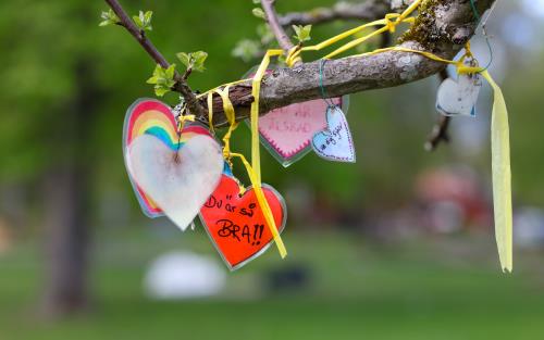 Några färgglada hjärtan med olika positiva budskap hänger i snören på en trädgren.