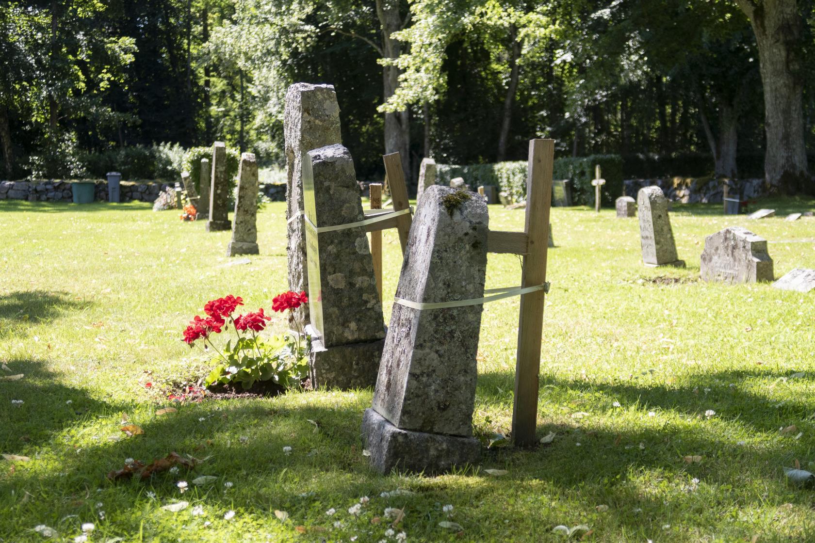 Några gamla gravstenar på en kyrkogård hjälps upp av trästörar.