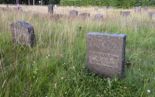 Gravstenar bland högt gräs på en kyrkogård.