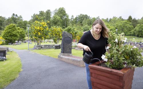 En kvinna vattnar en blomma i en stor kruka på en kyrkogård.