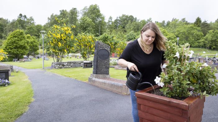 En kvinna vattnar en blomma i en stor kruka på en kyrkogård.