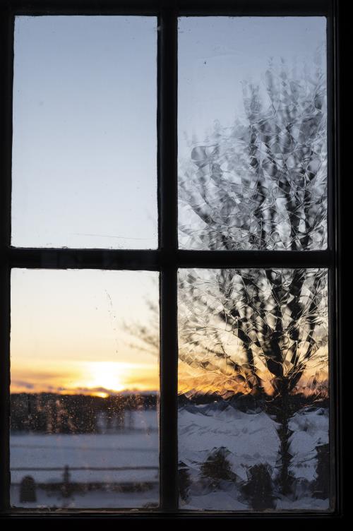 Solnedgången syns genom ett fönster. Ett träd utan löv står utanför.
Foc