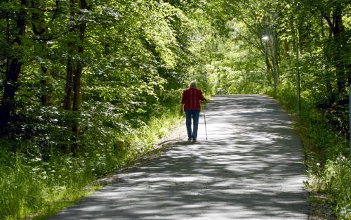 En äldre person med vandringsstav går på en grusväg i skogen.
