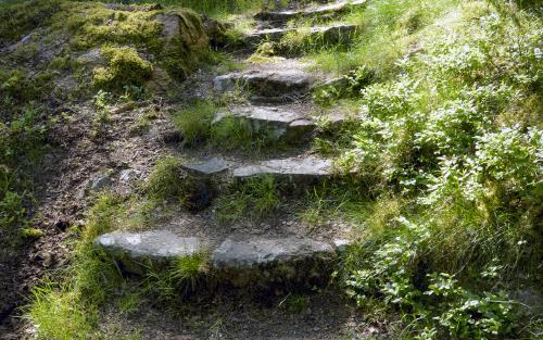 En trappa av stenplattor i skogen.