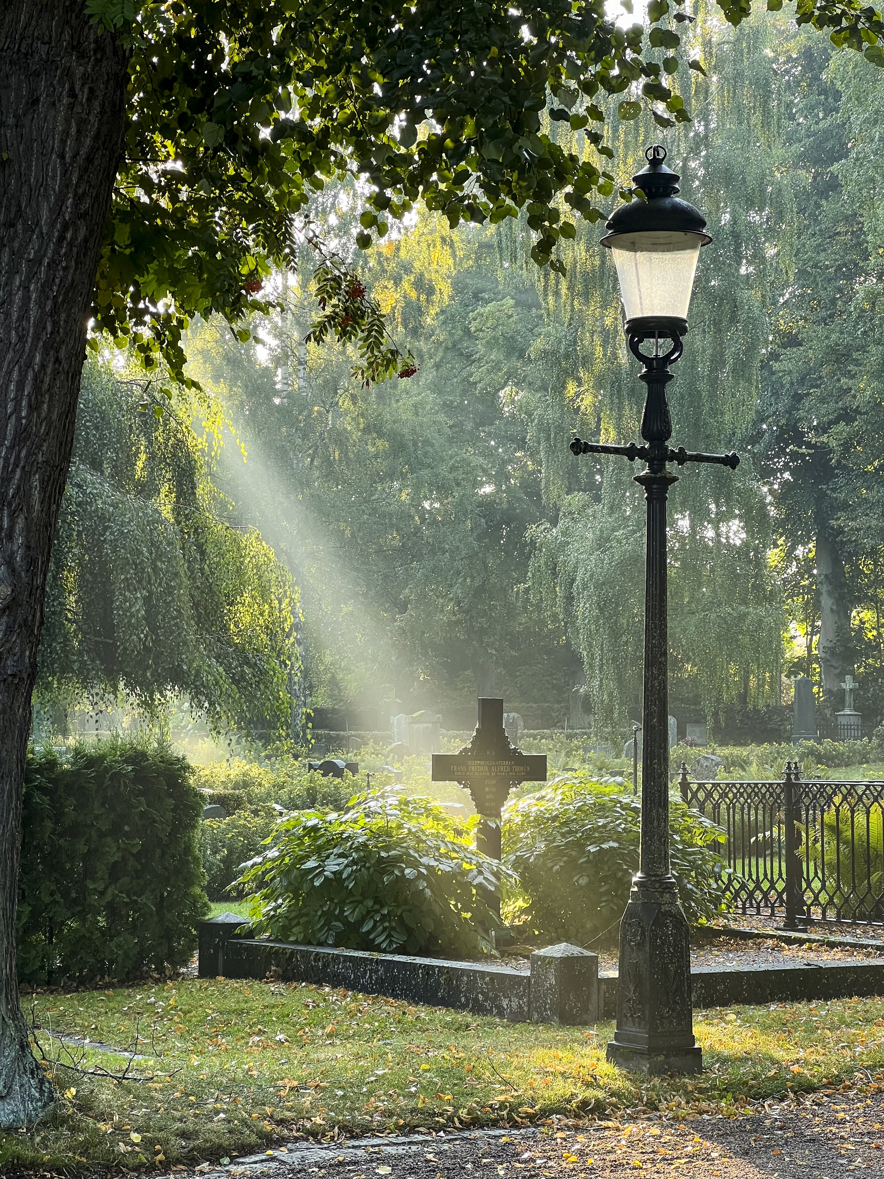 Solstrålar lyser upp en grav med en lyktstolpe i svart smide intill.
