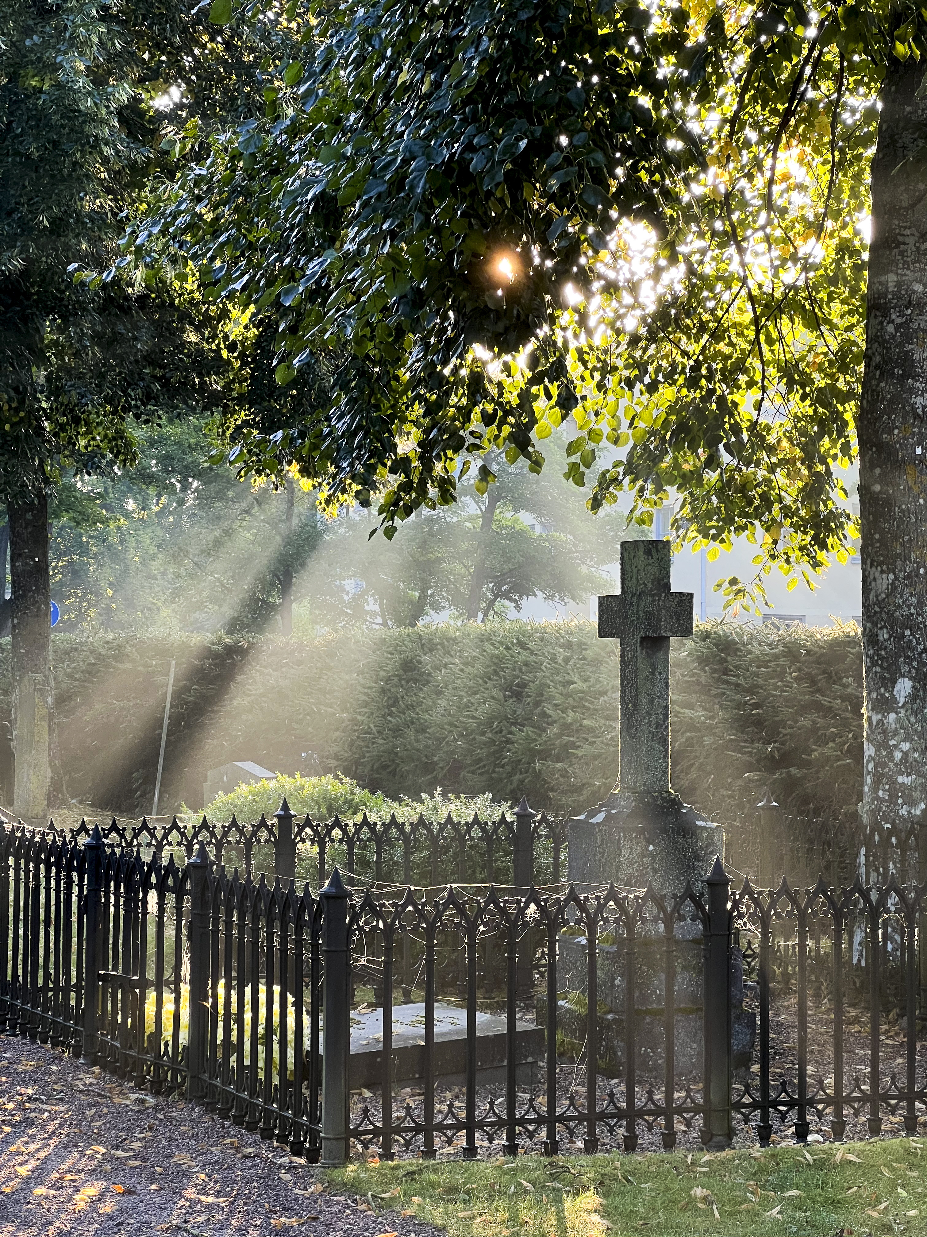 En grav omgiven av ett staket i svart smide. Ett träd står vid graven och strimmor av solsken lyser på graven.