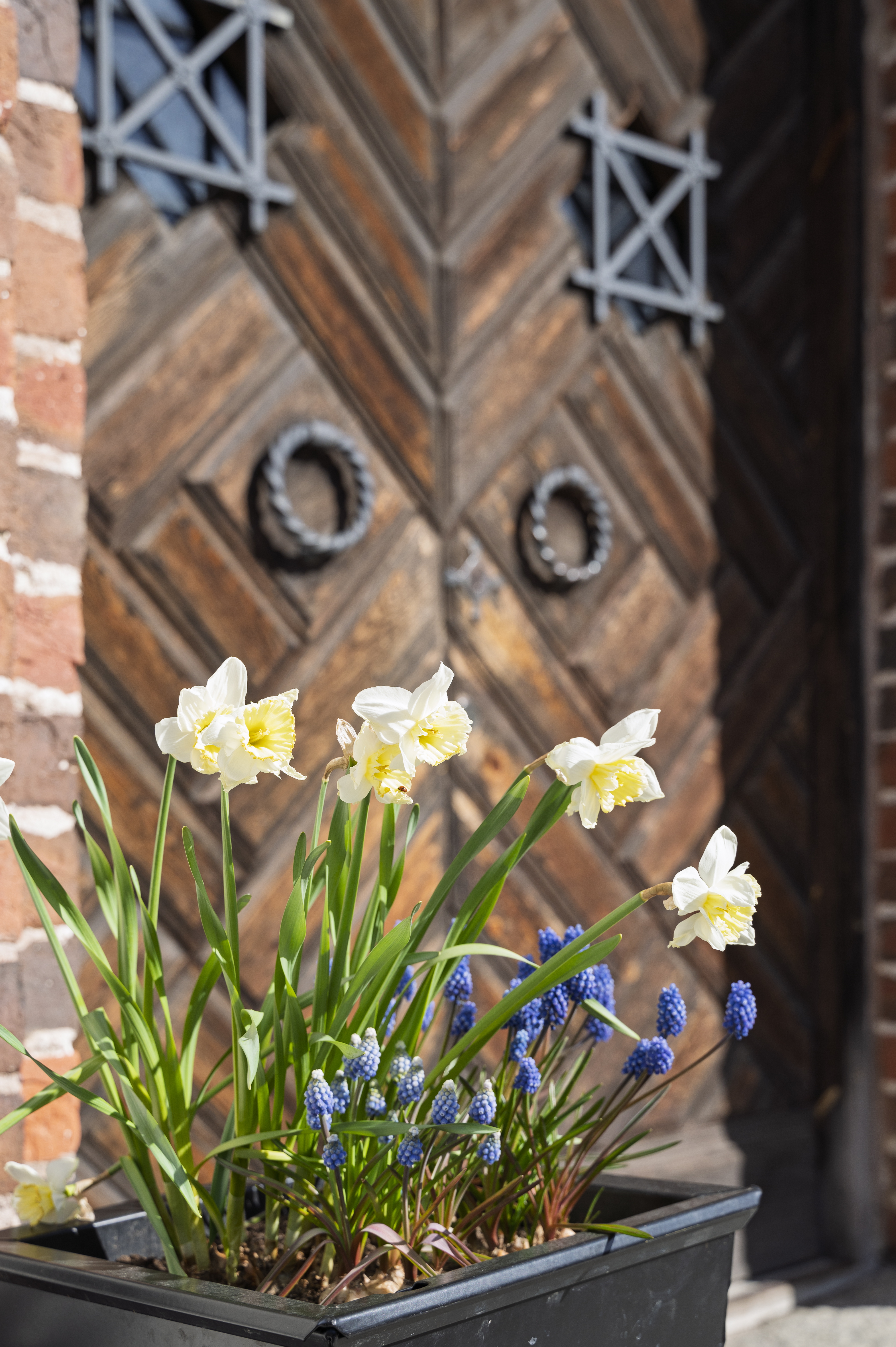 En svart blomkruka med vårblommor i står vid en kyrkport.