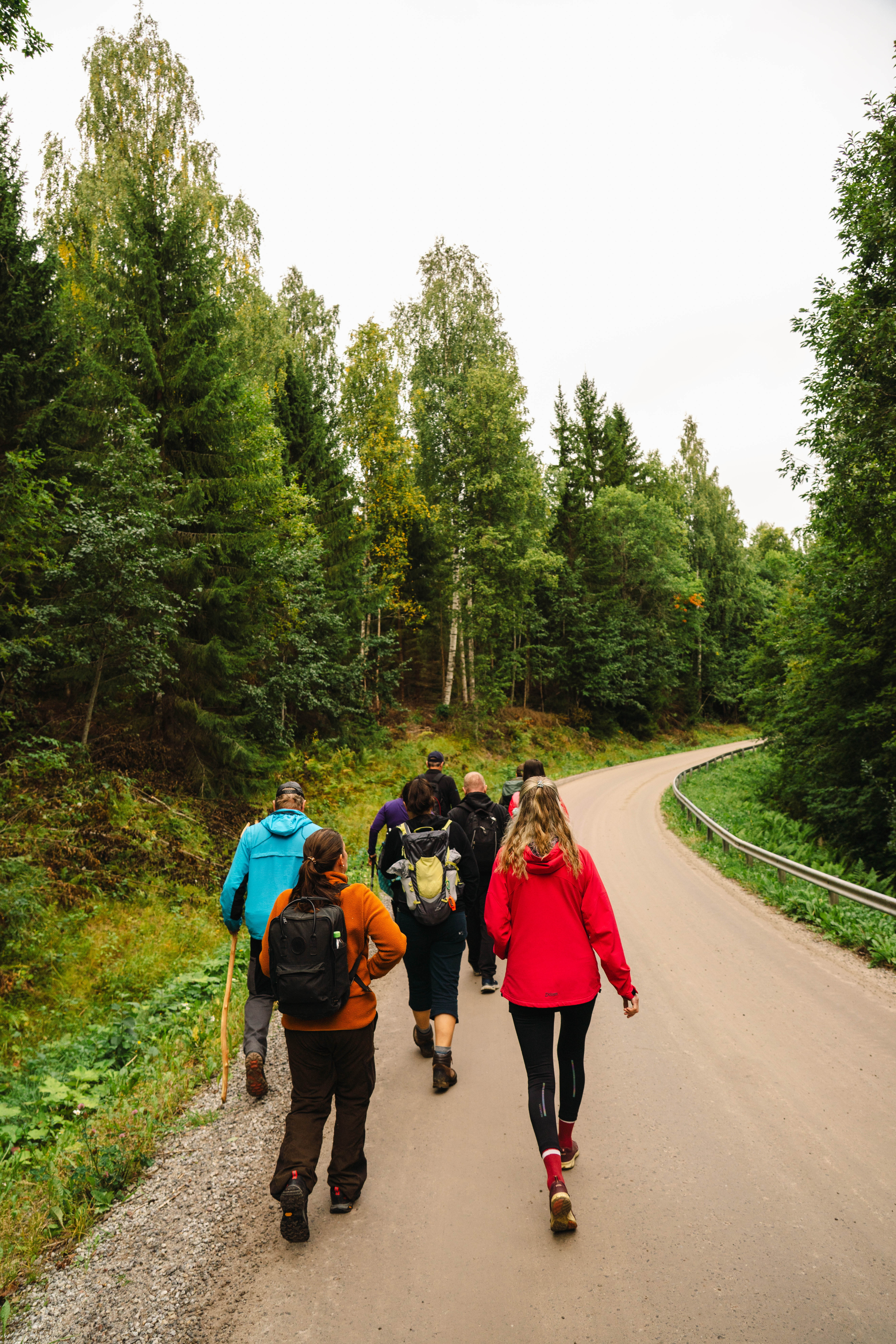 En grupp människor på 6 personer varav två har ryggsäck och en har vandringsstav. De går längs en väg med skog på sidorna