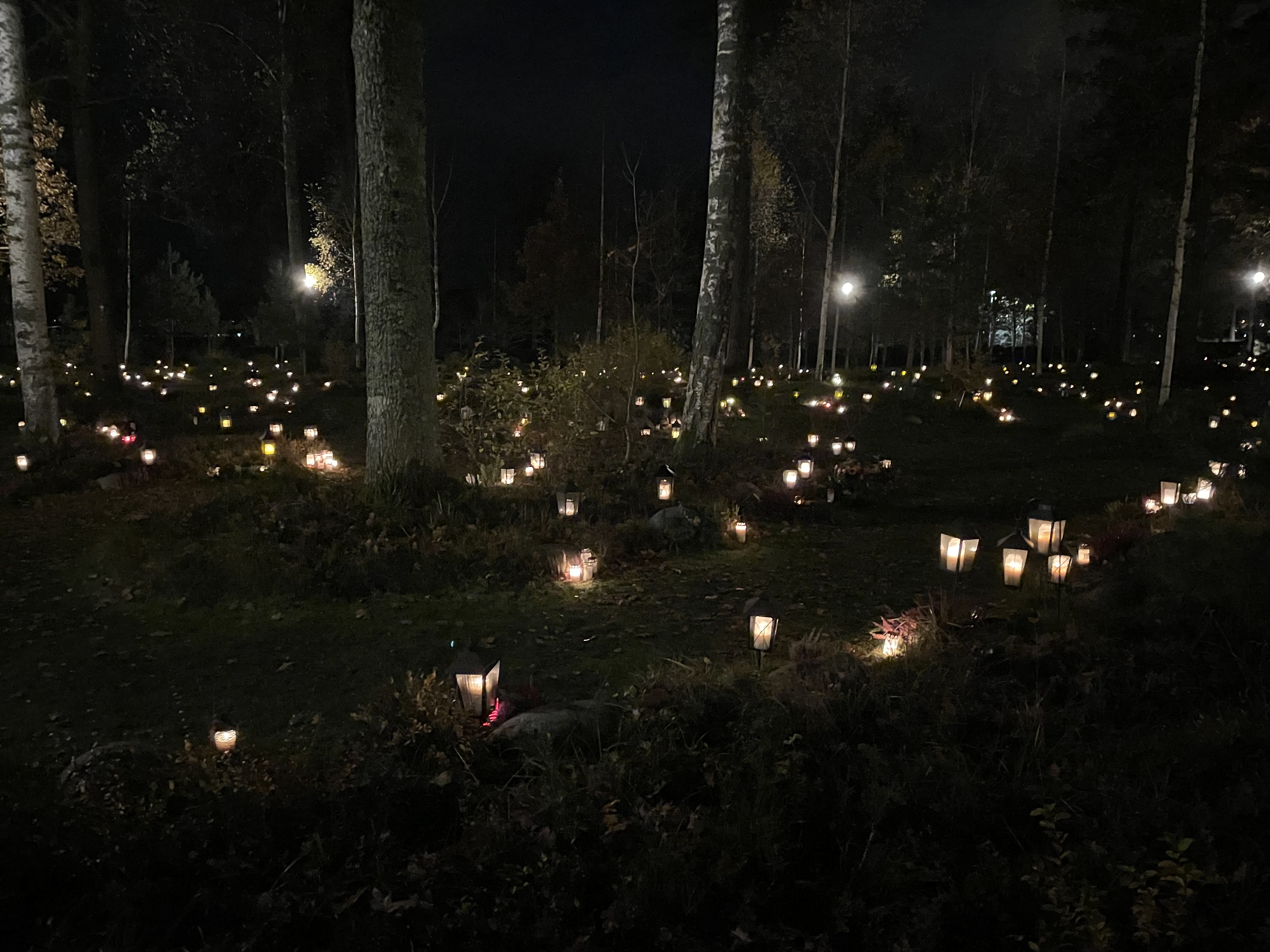 Gravljus lyser i mörkret på en skogskyrkogård
