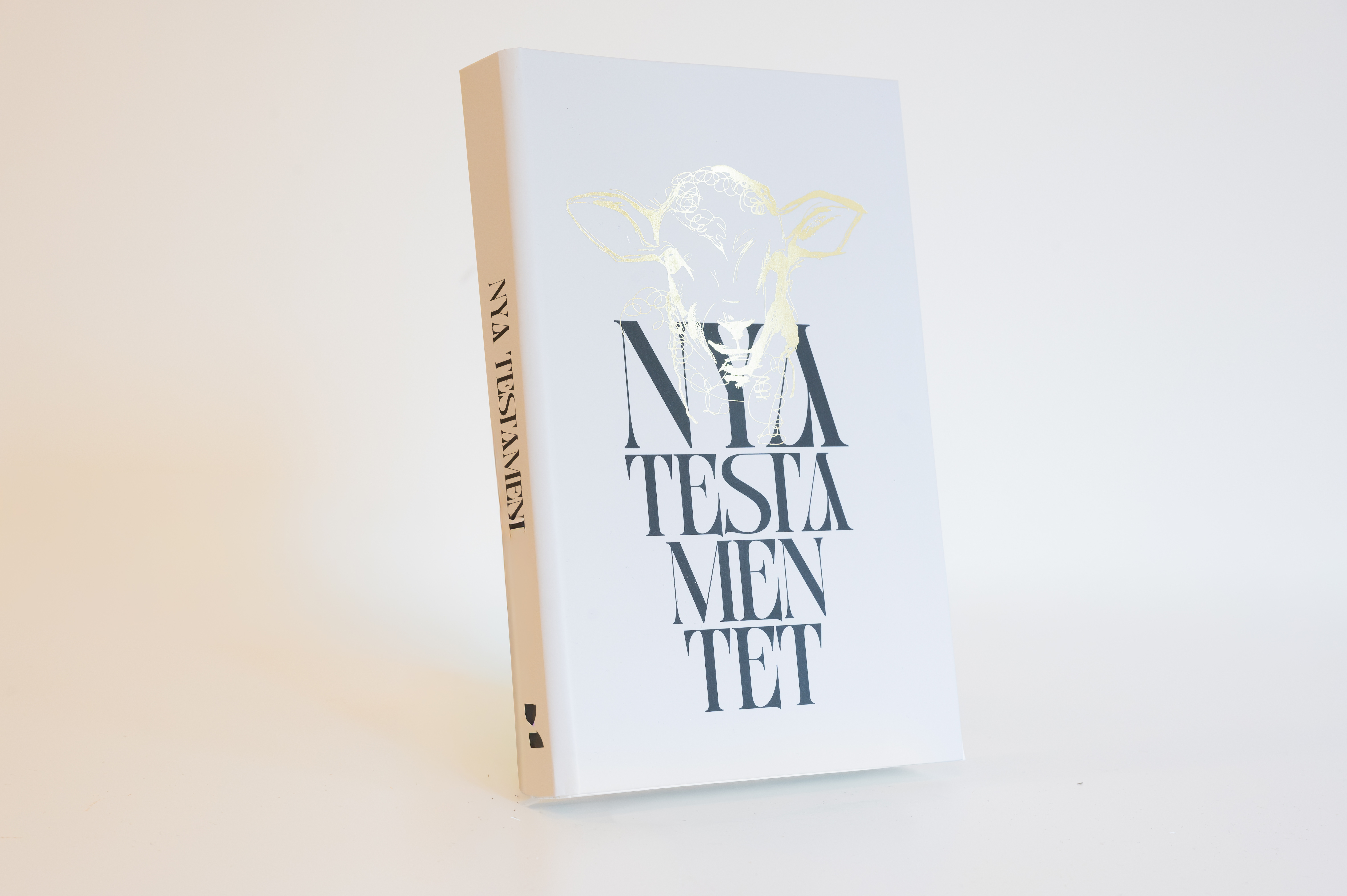 En Nya testamentet -26 