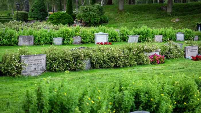 Boxholms kyrkogård. Gravar längst med häckar.
