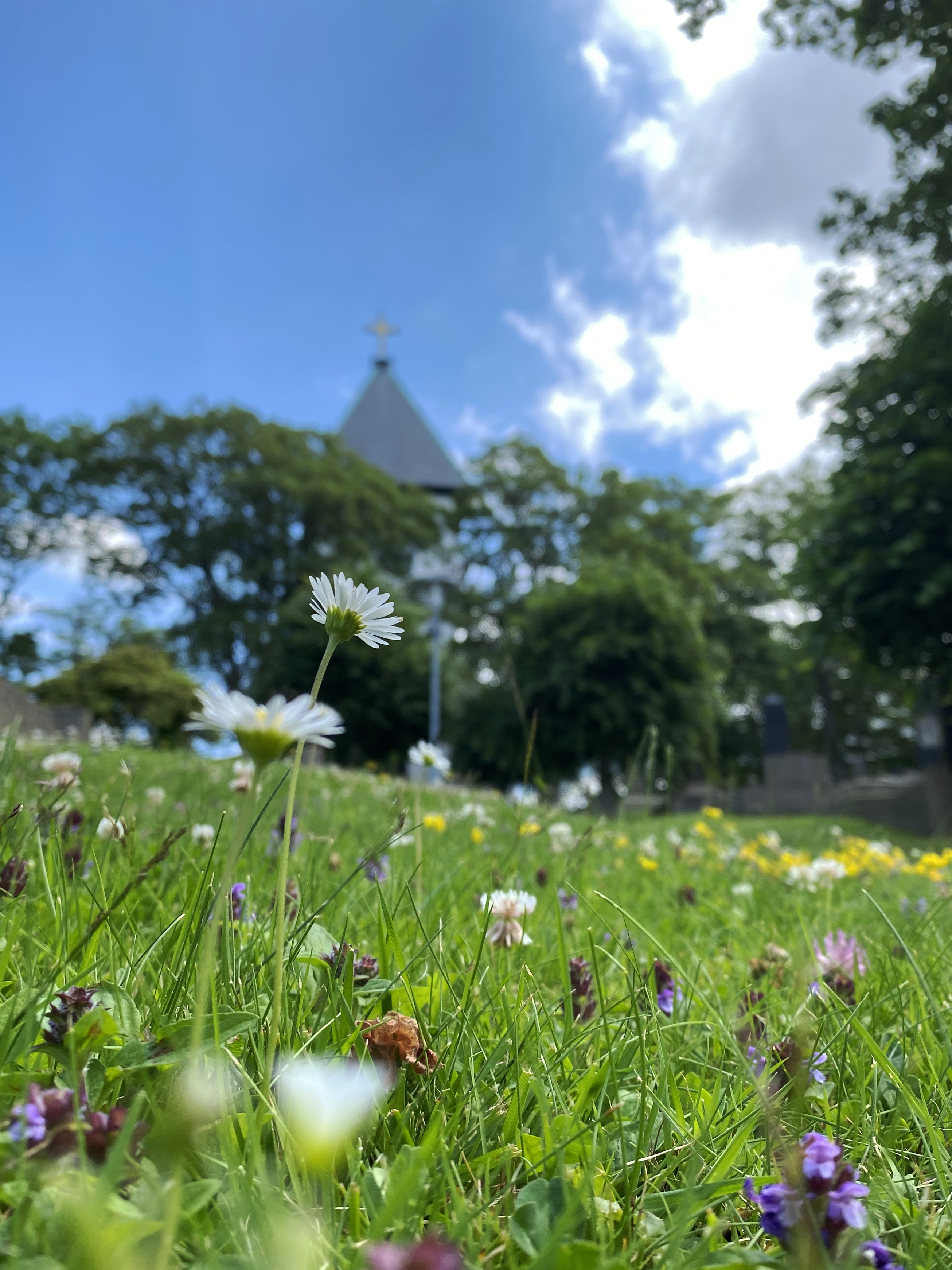 Backa kyrka i sommarskrud.