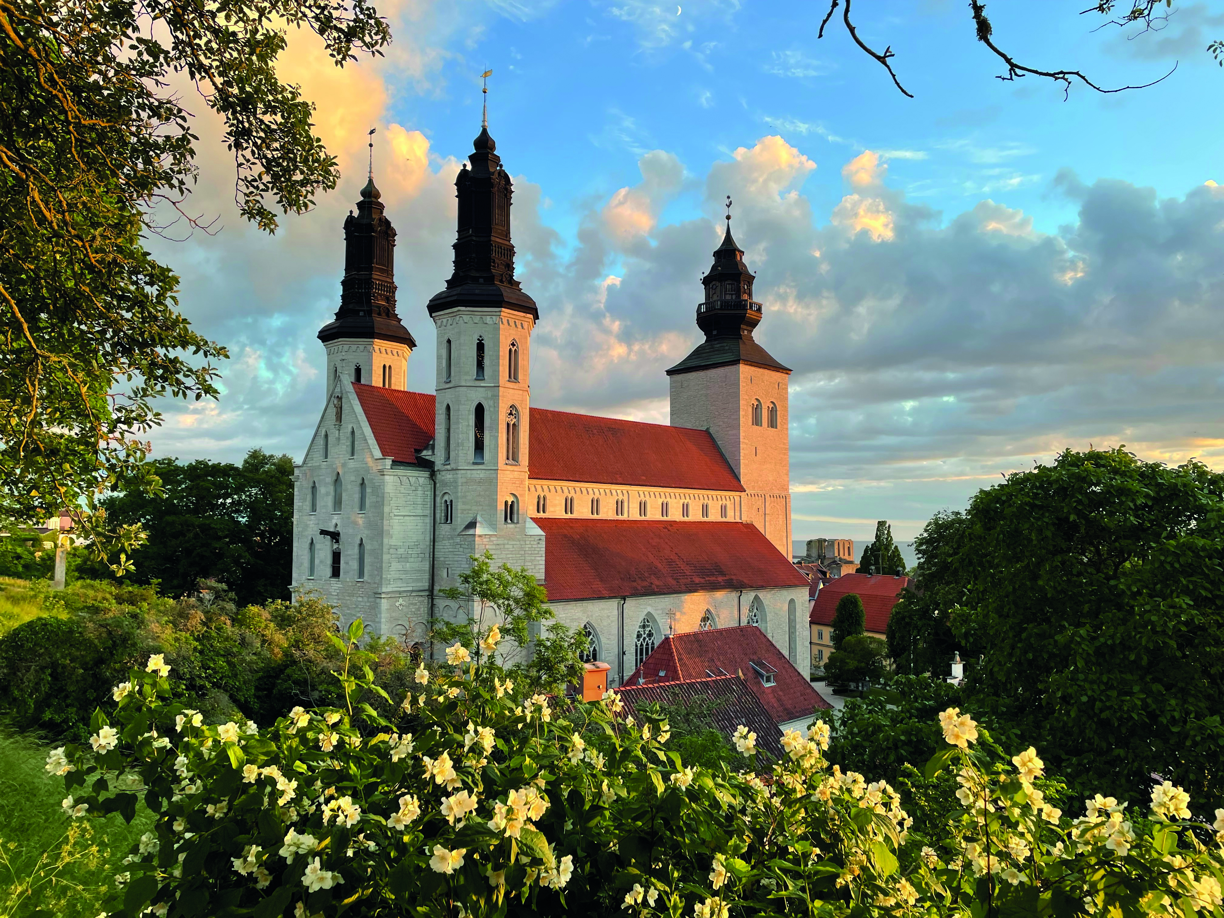 Visby domkyrka i solnedgång en kväll i juni. I förgrunden blommar en buske och på himlen syns både blå himmel och en del moln.