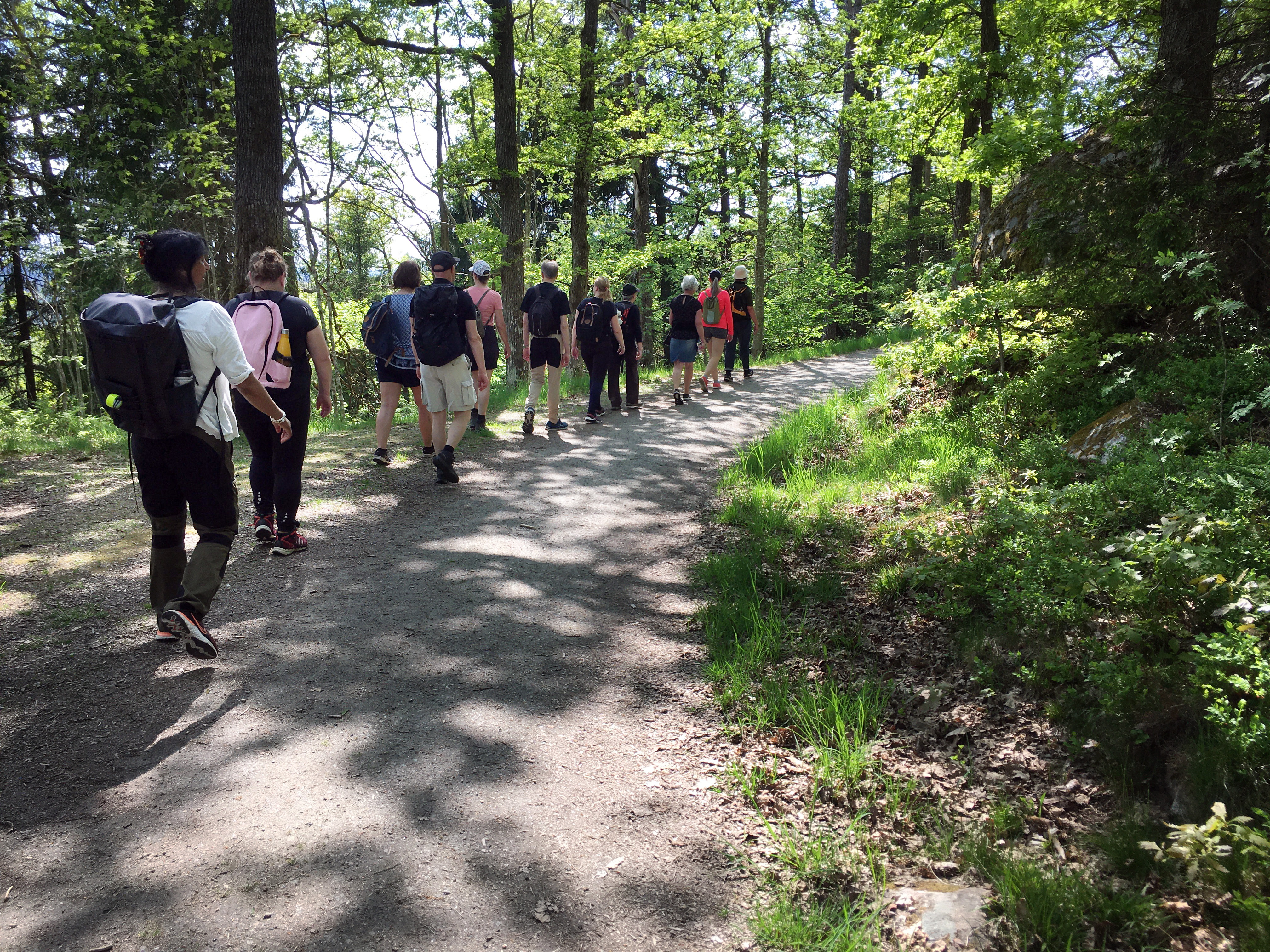 Grupp människor på vandring genom ett grönskande sommarlandskap.