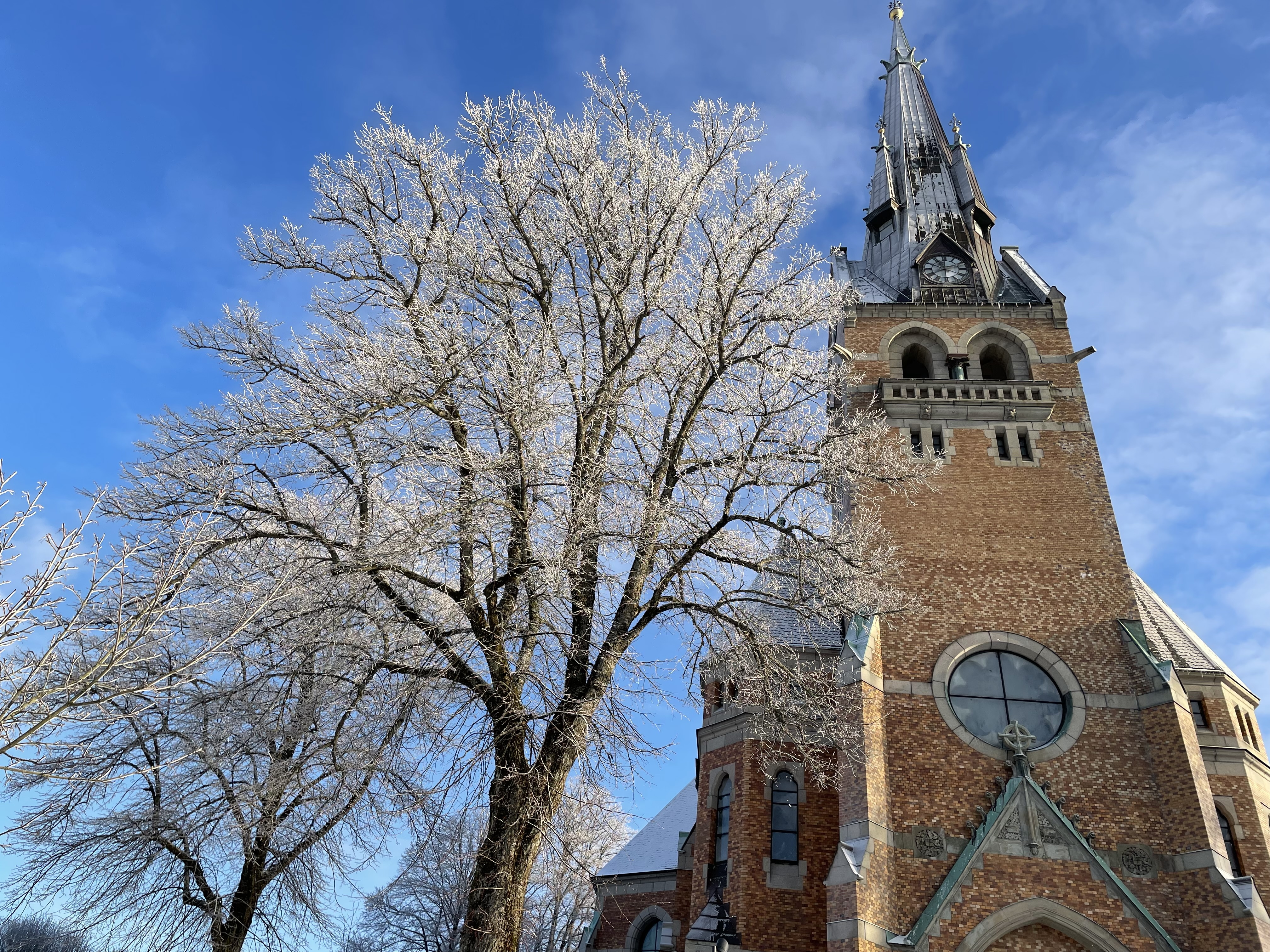 Tegelkyrka en vinterdag, kvistar med rimfrost i förgrunden.