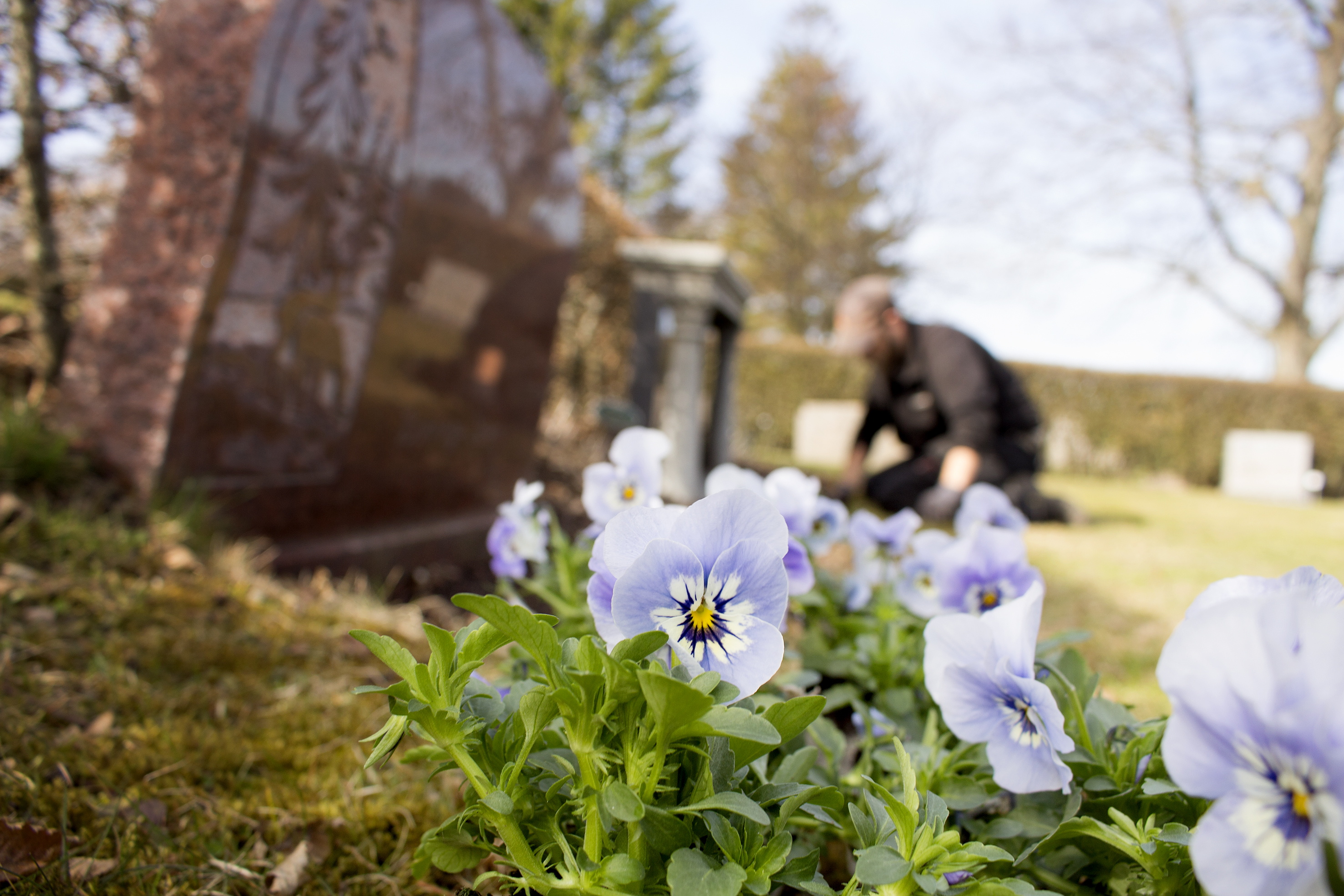 Älvestad kyrka i Fornåsa församling