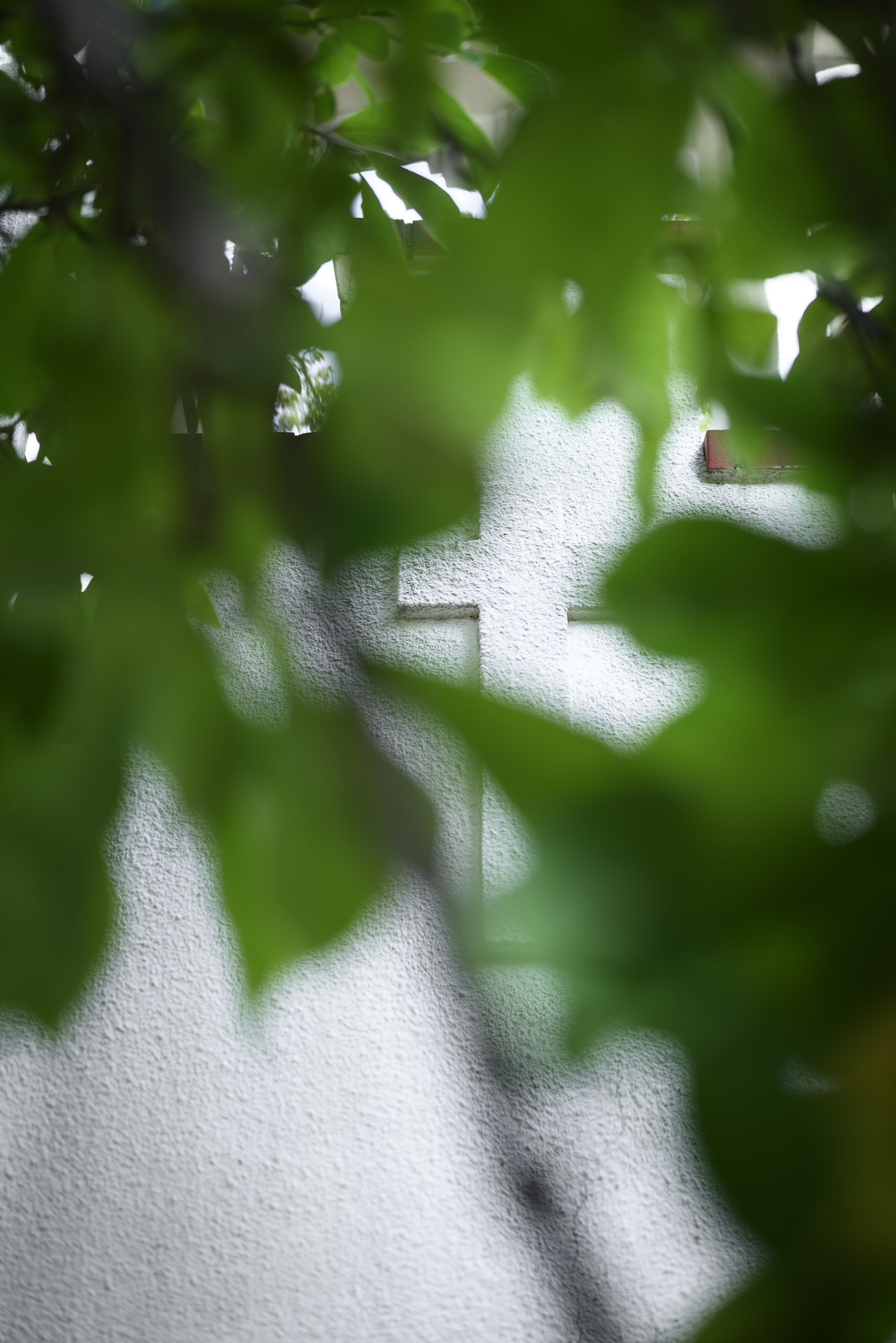 Bakom några gröna löv syns ett kors på en husfasad.