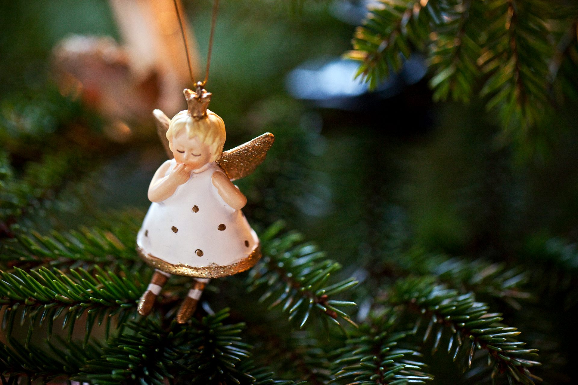 Foto: Josefin Casteryd / IKON