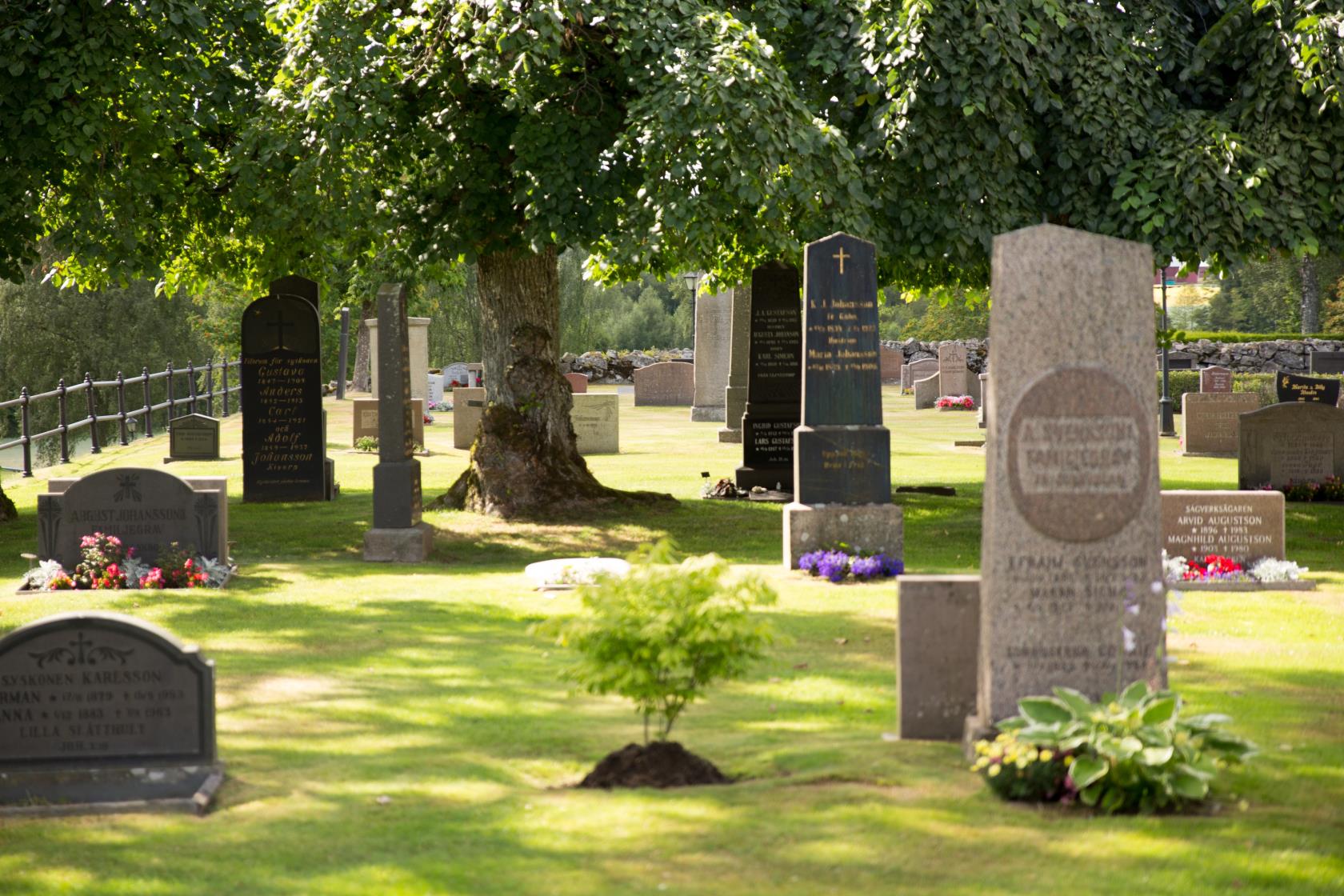 Somrig kyrkogård med flera gravstenar i fokus.