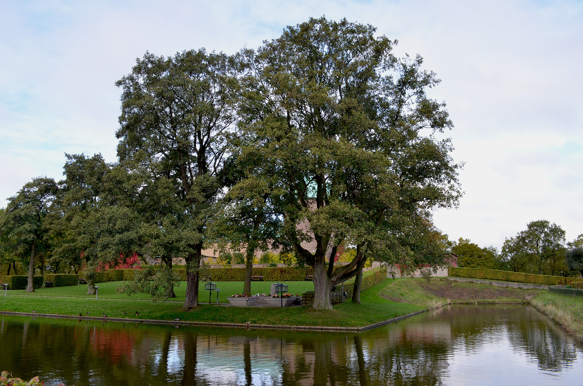 Minneslunden på Krematoriekyrkogården. Vallgrav i förgrunden och minneslunden syns under några stora träd.